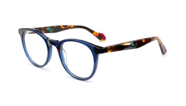 AR-2-10-VS2581-Acetate-50-23-145-7